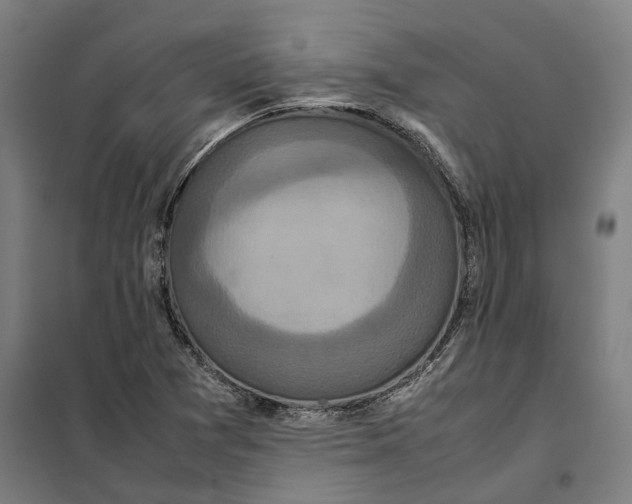 X0000101221361200807251102