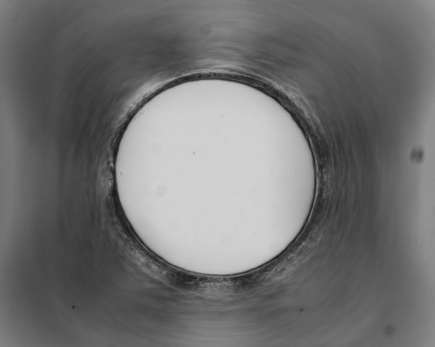 X0000101221363200807251102