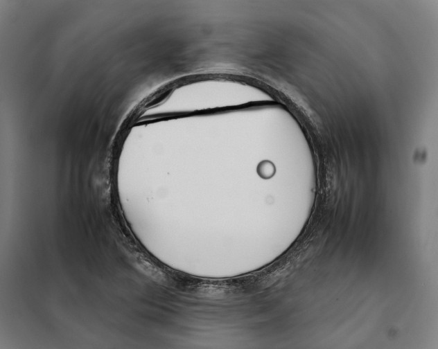X0000101221364200807251102