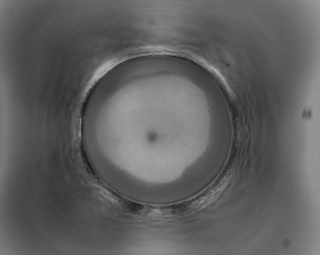 X0000101221365200807251102
