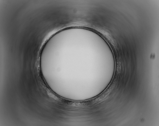 X0000101221366200807251102