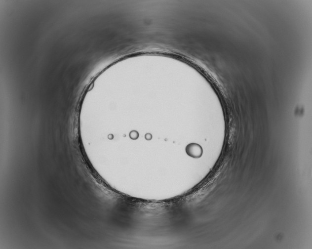 X0000101221367200807251102