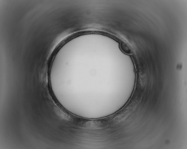 X0000101221368200807251102