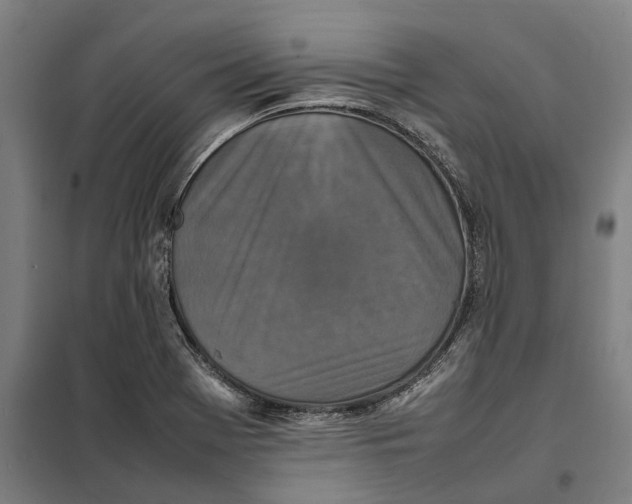 X0000101221369200807251102