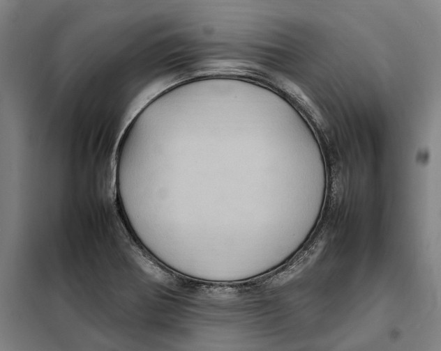 X0000101221370200807251102