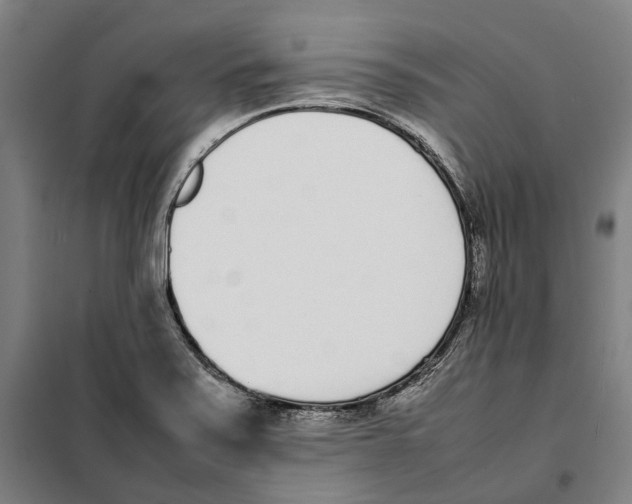 X0000101221371200807251102