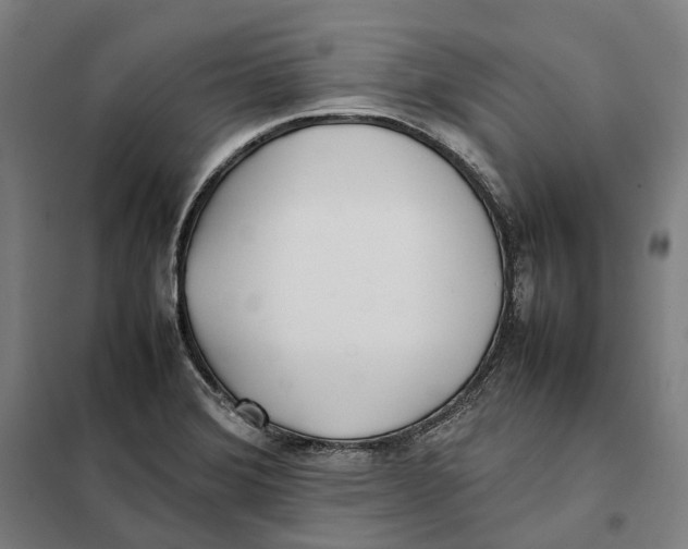 X0000101221372200807251102