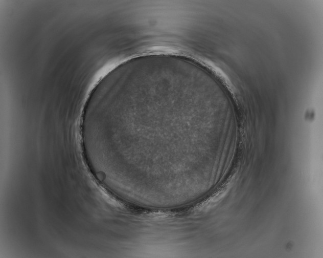X0000101221373200807251102