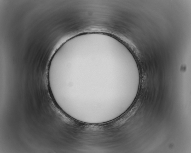 X0000101221374200807251102