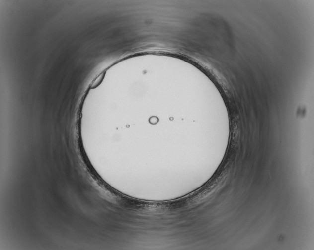 X0000101221375200807251102