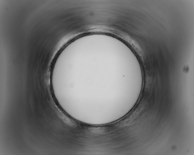 X0000101221376200807251102