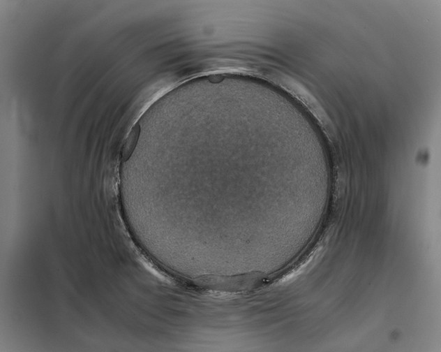 X0000101221377200807251102