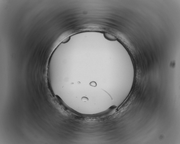 X0000101221378200807251102