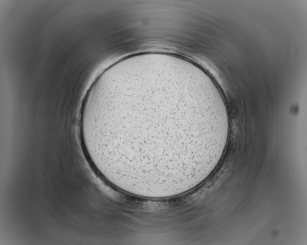 X0000101221379200807251102