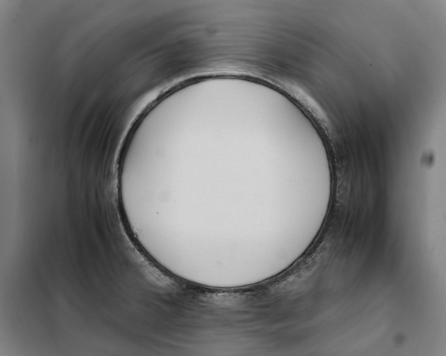 X0000101221380200807251102