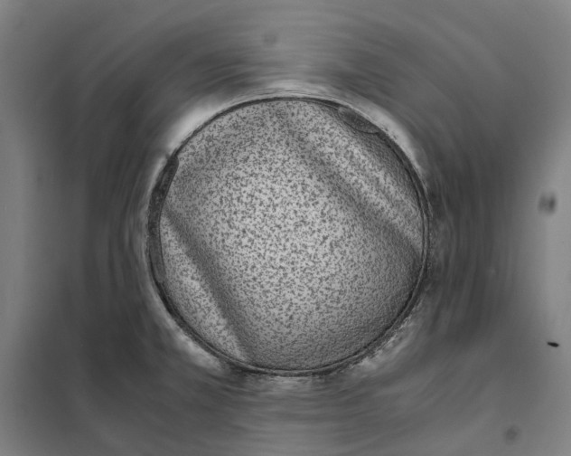 X0000101221381200807251102