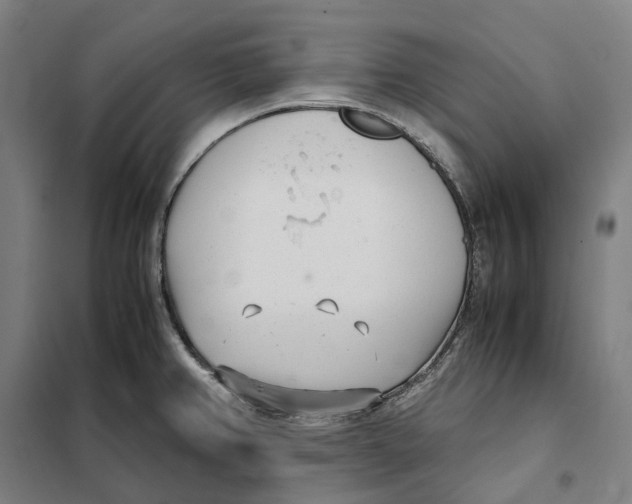 X0000101221382200807251102