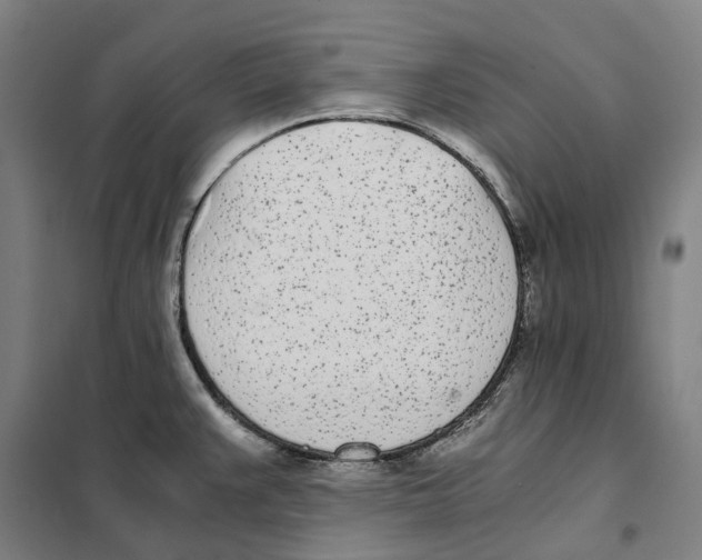 X0000101221383200807251101