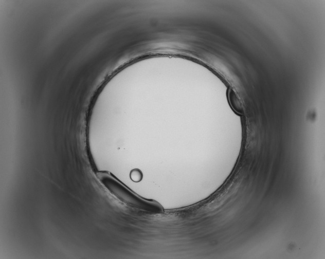 X0000101221384200807251101