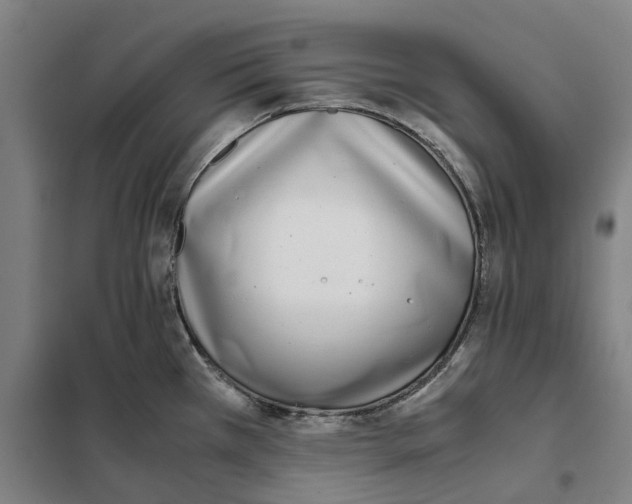 X0000101221385200807251101