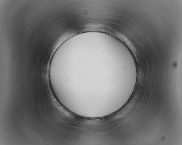 X0000101221386200807251101