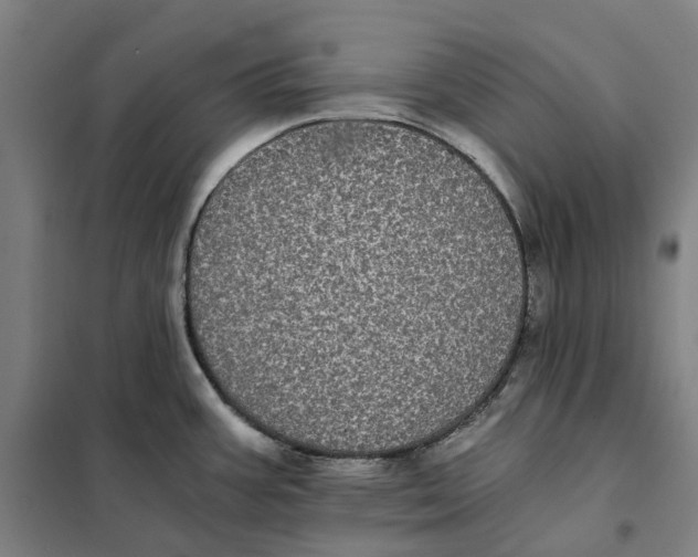 X0000101221387200807251101