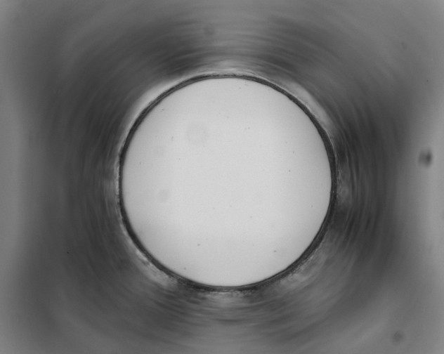 X0000101221388200807251101