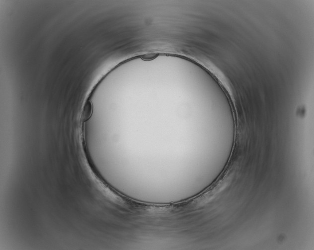 X0000101221389200807251101