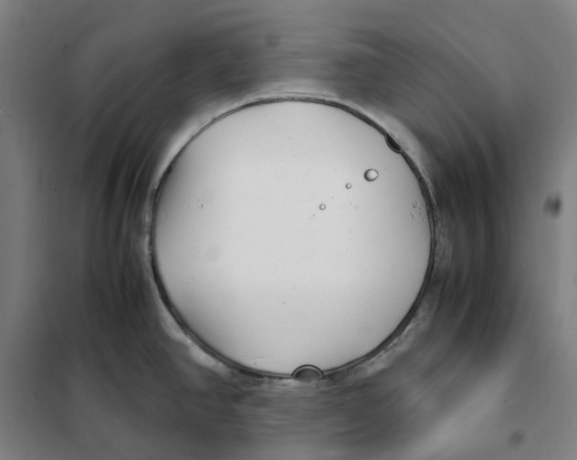 X0000101221390200807251101