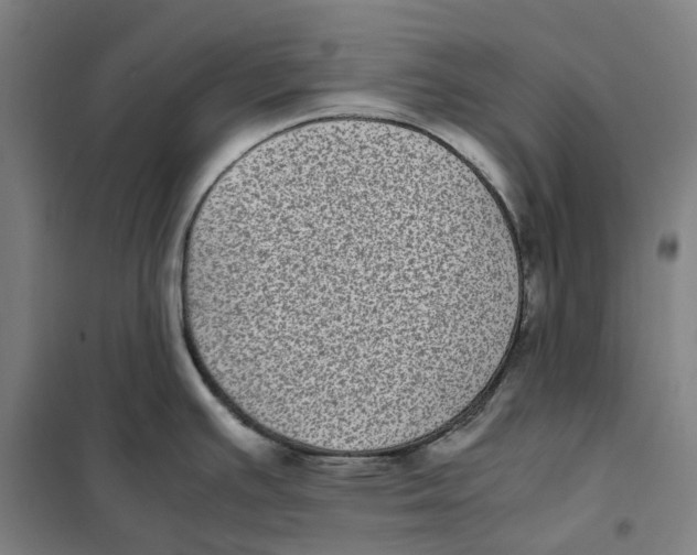 X0000101221391200807251101