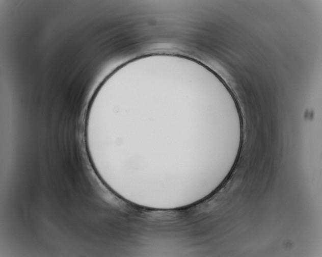 X0000101221392200807251101
