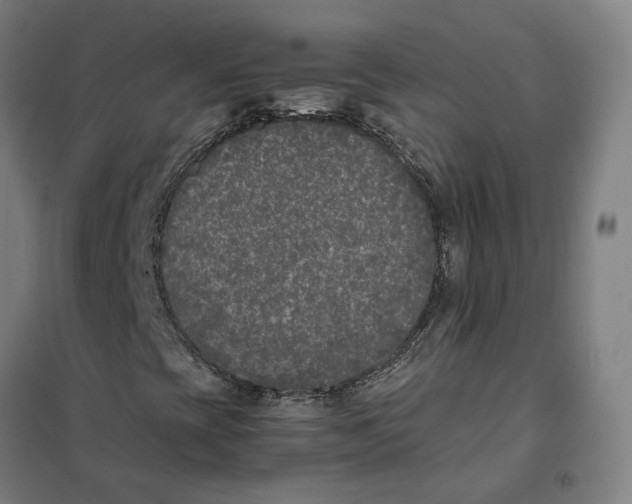 X0000101221393200807251101