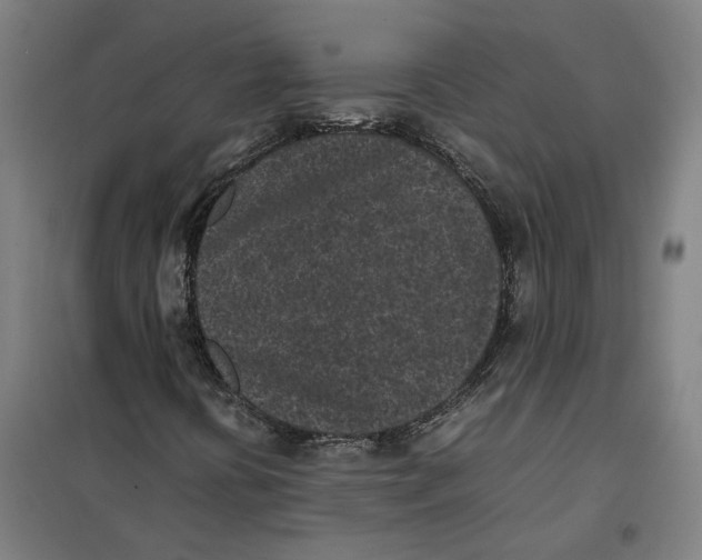 X0000101221394200807251101