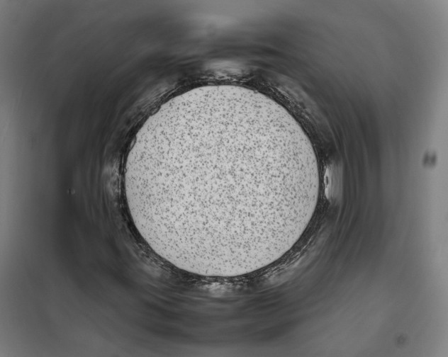 X0000101221395200807251101