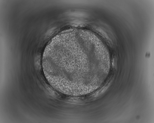 X0000101221396200807251101