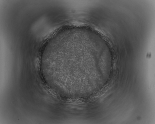 X0000101221397200807251101