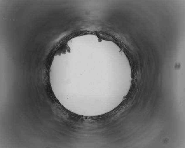 X0000101221398200807251101