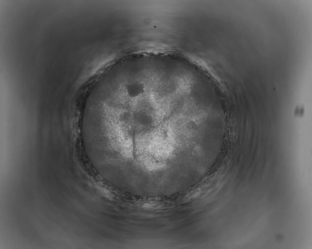 X0000101221399200807251101