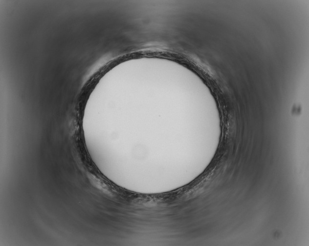 X0000101221400200807251101