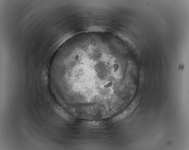 X0000101221401200807251101