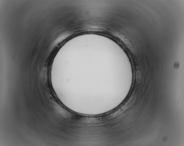 X0000101221402200807251101
