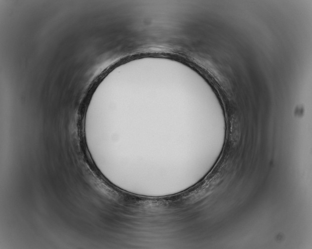 X0000101221404200807251101