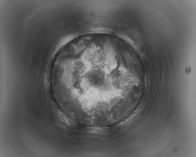 X0000101221405200807251101