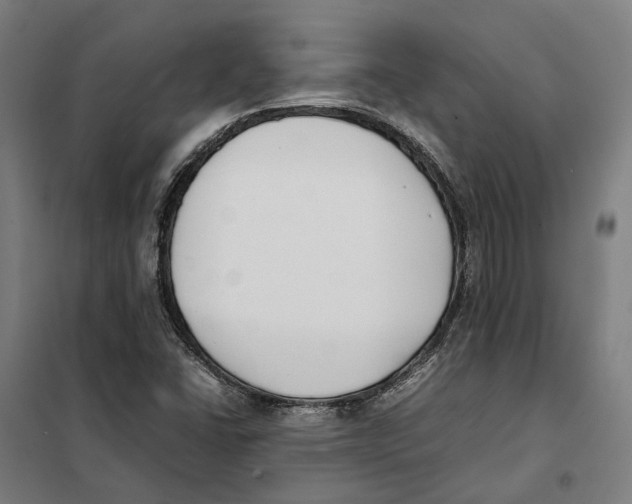 X0000101221406200807251101