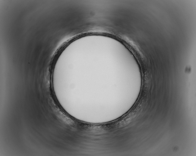 X0000101221408200807251101