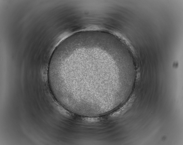 X0000101221409200807251101