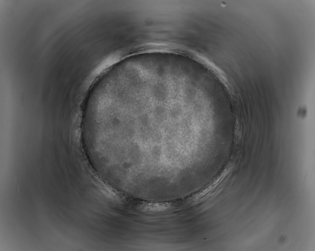 X0000101221411200807251101
