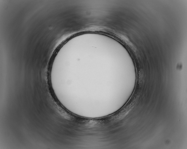 X0000101221412200807251101