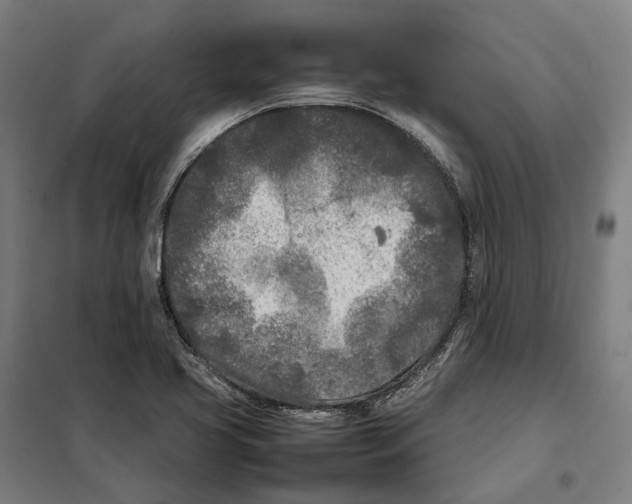 X0000101221413200807251101