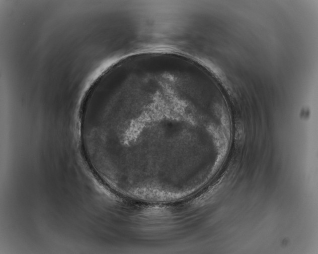 X0000101221414200807251101